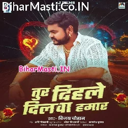Tur Dihale Dilwa Hamar Re Pagali