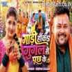 Gadi Haka Google Se Puchh Ke (Deepak Dildar) 