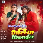 Galiya Chhilail (Vishal Gagan, Srishti Bharti)