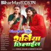 Galiya Chhilail (Vishal Gagan, Srishti Bharti)