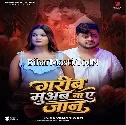 Garib Muab Na Ae Jaan (Vinay Tiwari)