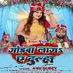 Godwa Laga Ae Dulha (Anu Dubey)