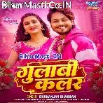 Gulabi Color (Dhananjay Dhadkan)