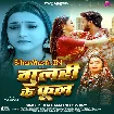 Gulari Ke Phool (Kalpana)