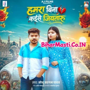 Hamra Bina Kaise Jiyataru (Sonu Sargam Yadav)