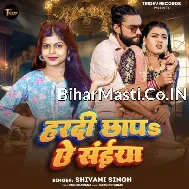 Chunawa Milake Hardi Chhapa Ae Saiya