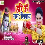 Hari Om Nama Shivay (Anu Dubey)