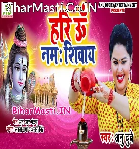 Hari Om Nama Shivay (Anu Dubey) s