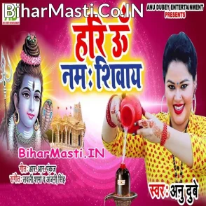 Hari Om Nama Shivay (Anu Dubey) s