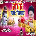 Hari Om Nama Shivay (Anu Dubey) s