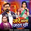 Jare Wala Jarat Rahi (Nagendra Ujala, Shilpi Raj)