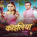 Ae Raja Ho Rahati Jadi Koiliya Raure Bagiya Me Kuhkal Karti Ho.mp3