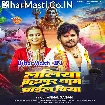 Laliya Brahmpur Dham Aail Biya (Vishal Gagan)