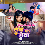 Lewa Pa Sewa (Neha Raj)