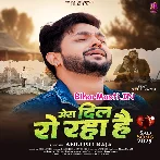 Mera Dil Ro Raha Hai (Ankush Raja)