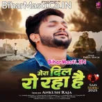 Mera Dil Ro Raha Hai (Ankush Raja)