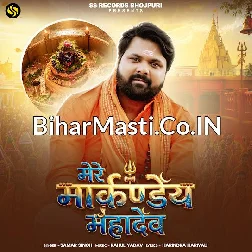 Mere Markande Mahadev