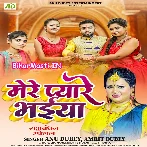 Mere Pyare Bhaiya (Anu Dubey, Amrit Dubey)