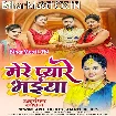 Mere Pyare Bhaiya (Anu Dubey, Amrit Dubey)