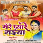 Mere Pyare Bhaiya (Anu Dubey, Amrit Dubey)