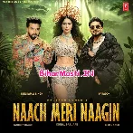 Naach Meri Naagin (Neelkamal Singh, Simar Kaur)