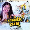 Namami Shambhu (Anjali Bhardwaj)