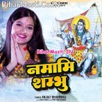 Namami Shambhu (Anjali Bhardwaj)