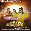 Nanadiya Bhail Labari (Anu Dubey)