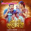 Naukari Sarkari (Bullet Raja, Shivani Singh)