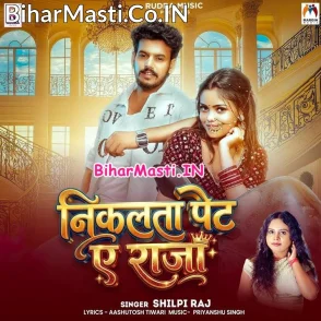 Nikalata Pet Ae Raja (Shilpi Raj)
