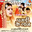 Pagdi Ke Laaj (Anand Mohan, Nitu Shree)