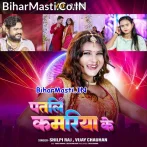 Patali Kamariya Ke (Shilpi Raj, Vijay Chauhan)