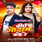 Pichhe Kake Godam Re (Awdhesh Premi Yadav)