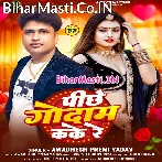 Pichhe Kake Godam Re (Awdhesh Premi Yadav)