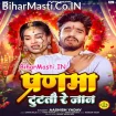 Pranma Tutatau Re Jaan (Aashish Yadav)