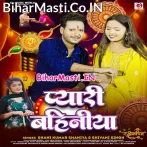 Pyari Bahiniya (Shani Kumar Shaniya, Shivani Singh)