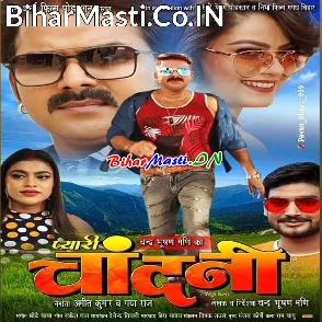 Pyari Chandani (Pawan Singh, Nidhi Jha)