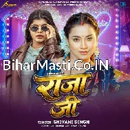 Kare Lagle Raja Ji Nokariya Ulti Pala Maar Ke Chalam