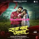 Raja Yaad Aawata (Ritesh Pandey) 