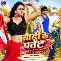 Sadi Ke Palet (Srishti Bharti)