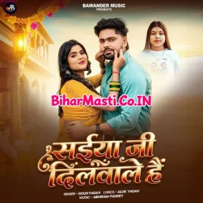 Saiya Ji Dilwale Hai (Goldi yadav)