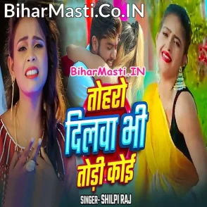 Toharo Dilwa Bhi Todi Koi (Shilpi Raj)