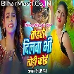 Toharo Dilwa Bhi Todi Koi (Shilpi Raj)