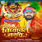 Hamke Lele Chali Raja Ji Maai Ke Nagari.mp3